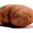 Исследована «генетическая программа» картофеля