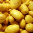 «Золотой картофель» динси и дыня «уоллес» Ланьчжоу