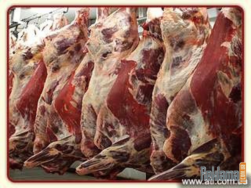 Новые требования в торговле мясными продуктами в США Новые требования в торговле мясными продуктами в США