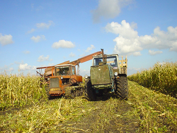 Пути развития сельского хозяйства в Беларуси