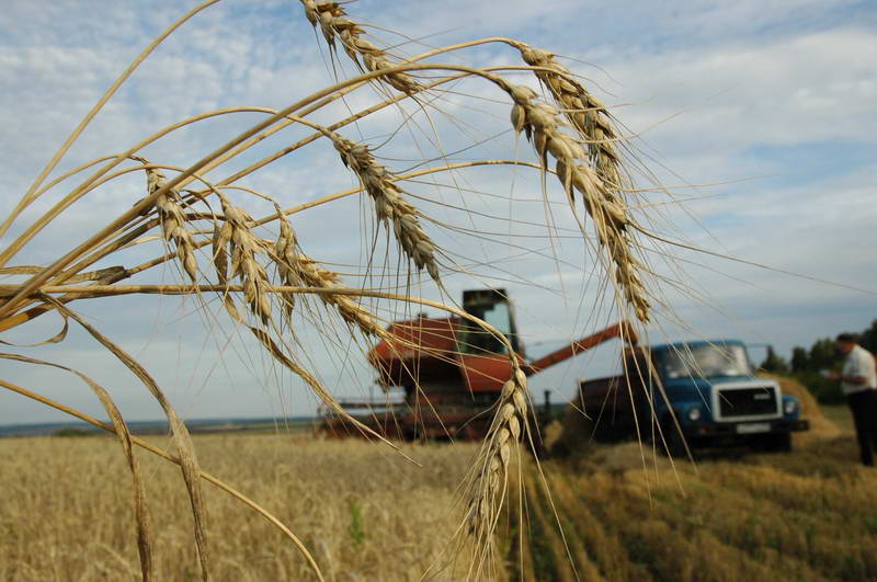 В Аликовском районе Чувашии приобретают сельскохозяйственную технику