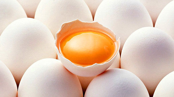 Яйцо – новые возможности